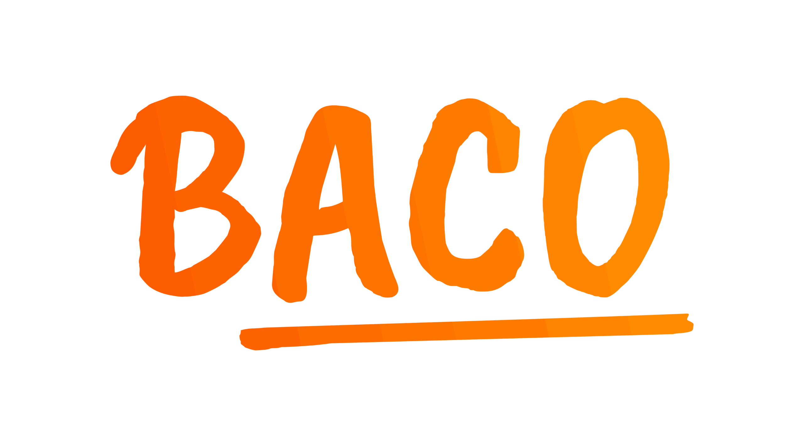 Baco viandas barf