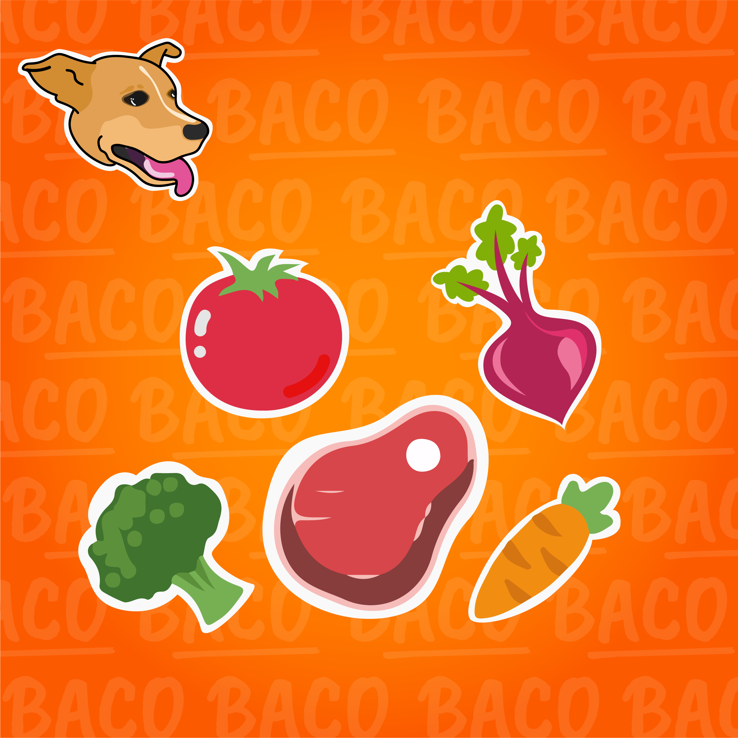 Vianda para perro de carne 500 gr