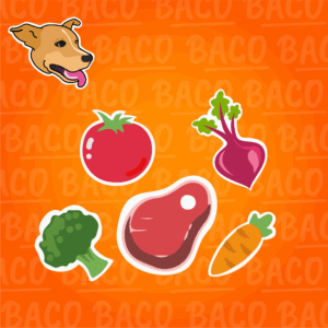 Viandas para perro de carne 300 gr