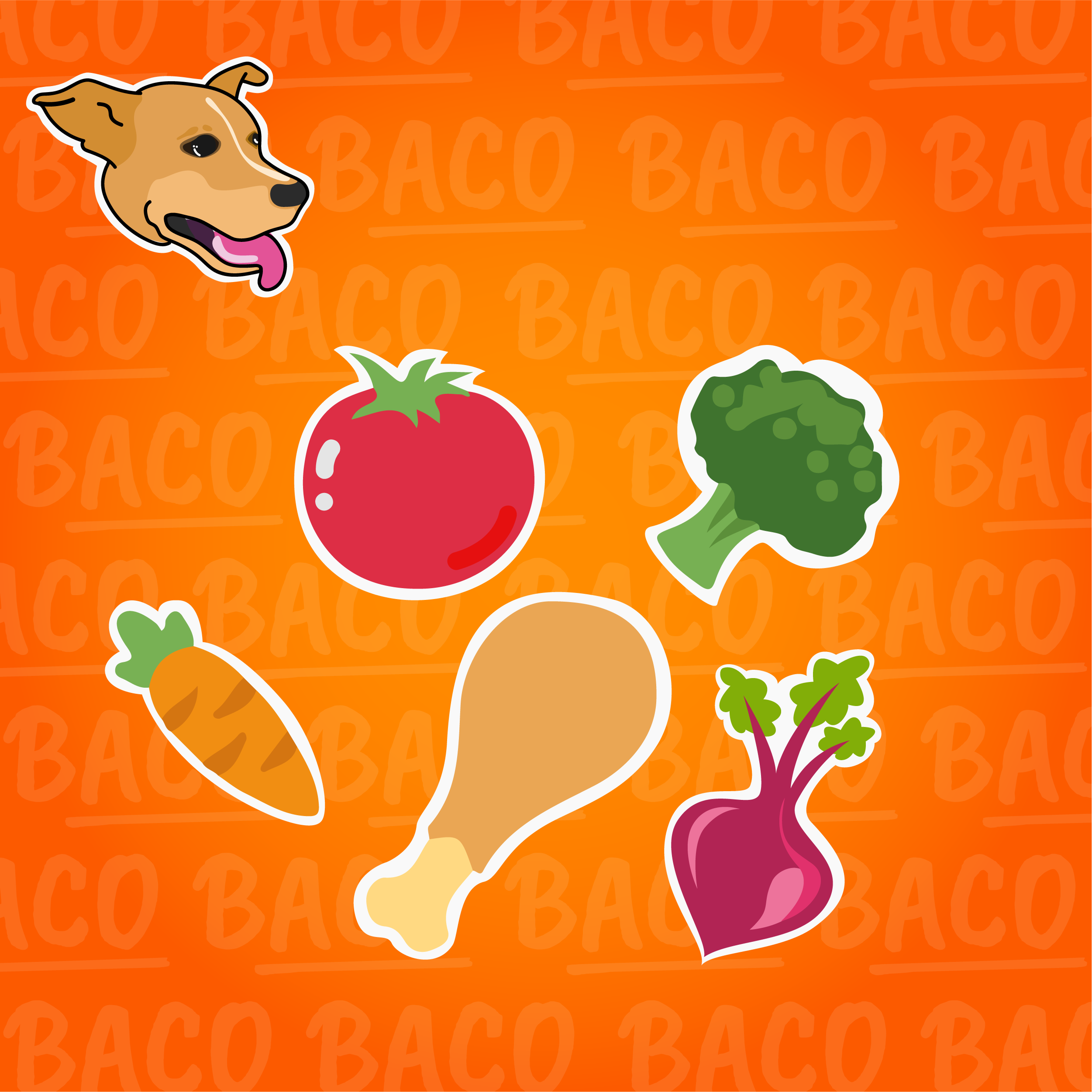 vianda para perro de pollo 300 gr