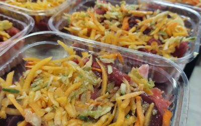 Viandas BARF – CRUDAS